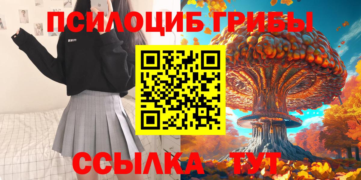 как найти закладки  Галлюциногенные грибы GOLDEN TEACHER  Вход с VPN  Петрозаводск 