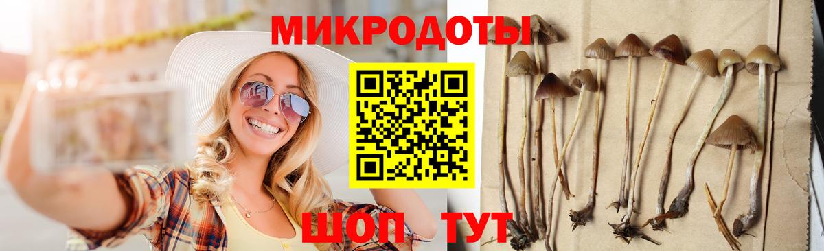 Галлюциногенные грибы GOLDEN TEACHER Петрозаводск